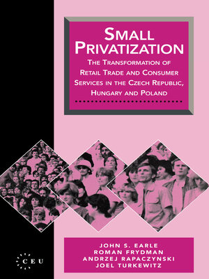 cover image of Small Privatization